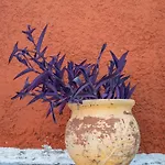 Vliho Bay Boutique 3* Γένι